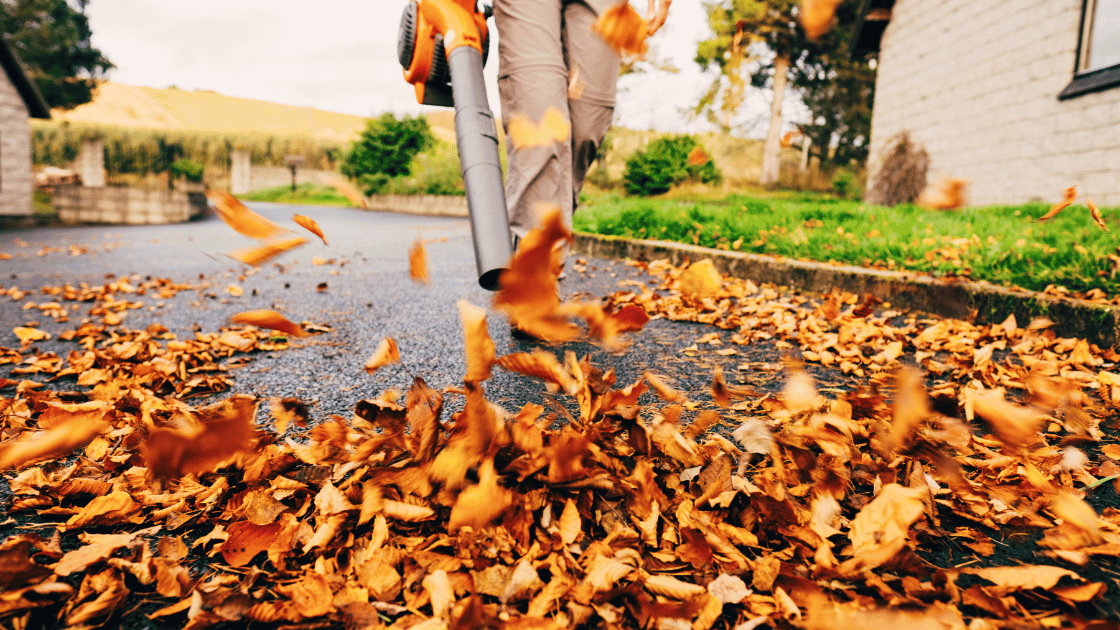 Featured image for “Manutenzione del giardino”